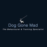 Dog Training Specialist